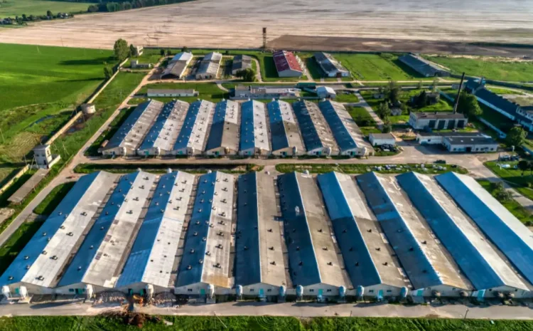  Farm Action Fund Opposes Growing Climate Solutions Act, Saying It Will Further Consolidate Agribusiness Wealth and Do Little for the Environment