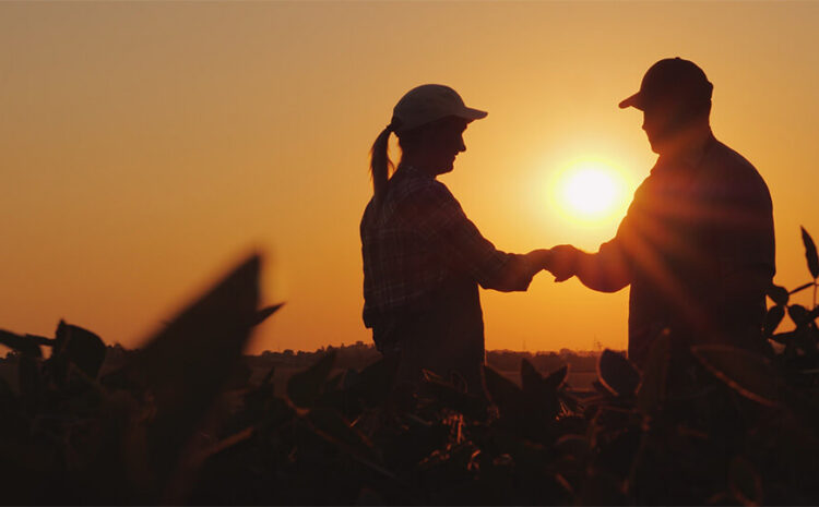  131 Farm and Food Groups Call for Checkoff Reform in the 2023 Farm Bill