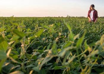ND Soybean Council Caught Using Checkoff Funds to Lobby, Farm Action Fund Calls on Congress to Pass OFF Act