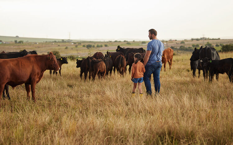 Farm Action Fund Condemns Attack on USDA’s Packers and Stockyards Act Authority in U.S. House Ag Appropriations Process