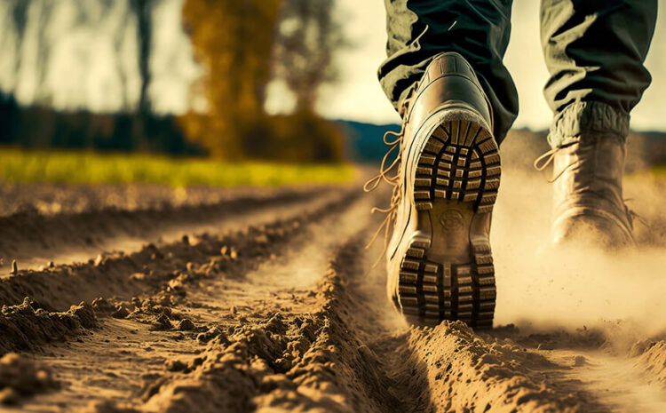  Farm-Labor Alliance Applauds Farm System Reform Act Reintroduction