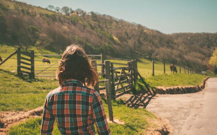  Farm Action Fund Responds to Spartz Checkoff Amendment, Calls Out Motives of Opponents