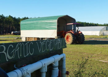 Farm Action Fund Releases Policy Strategies for the MAHA Commission