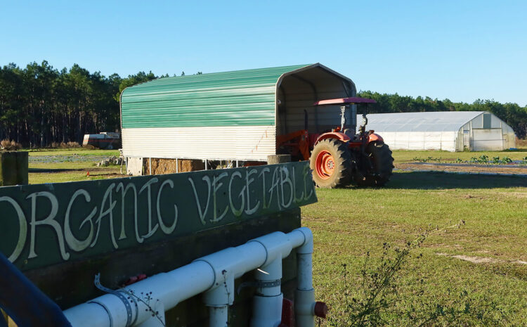  Farm Action Fund Releases Policy Strategies for the MAHA Commission