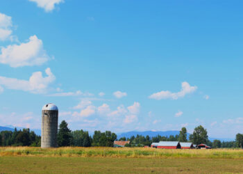 68 Farm Groups Support Checkoff Reform Bill Reintroduction