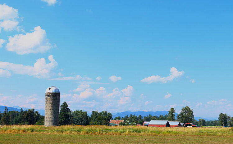  68 Farm Groups Support Checkoff Reform Bill Reintroduction