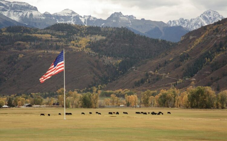  Election’s Over: What Does It Mean for the Farm Action Movement?