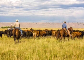 Brownfield Ag News | Farm Groups Push for Checkoff Reform