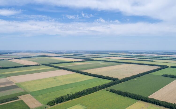  Politico | China is buying up American farms. Washington wants to crack down.
