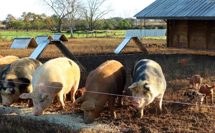  Successful Farming | Vocal Opponents Aim to Defeat EATS Act