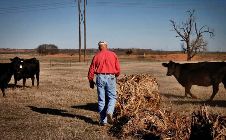  The American Prospect | Farmers Pay Big Ag to Lobby Against Them