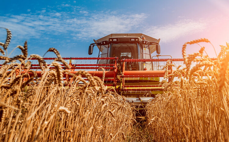  Slate | Biden Needs to Bust Big Ag Immediately