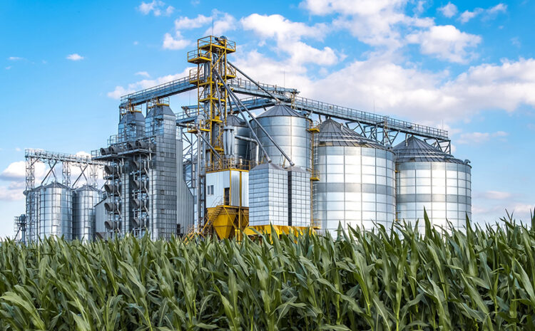  The New Yorker | Is It Time to Break up Big Ag?