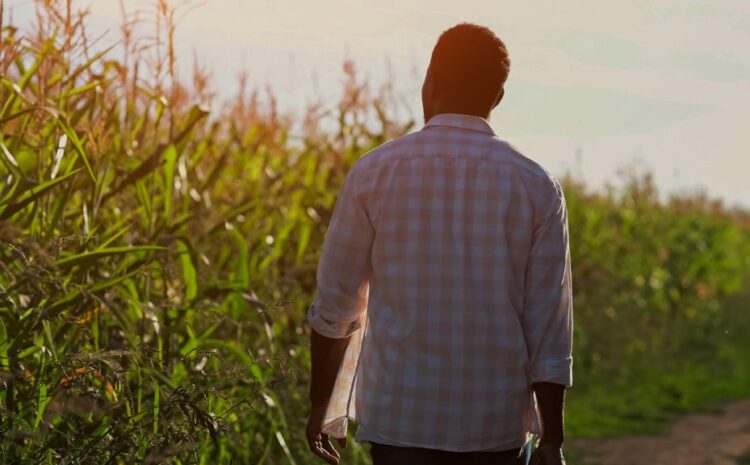 Fox News | Biden agricultural secretary pick made $1M a year off struggling farmers