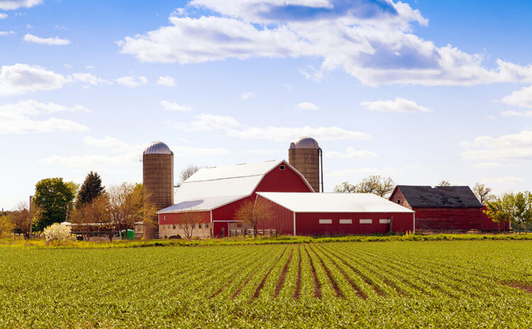  Mother Jones | President Biden’s Trustbusters Aren’t Just Experts on Tech. They Know About Big Ag.