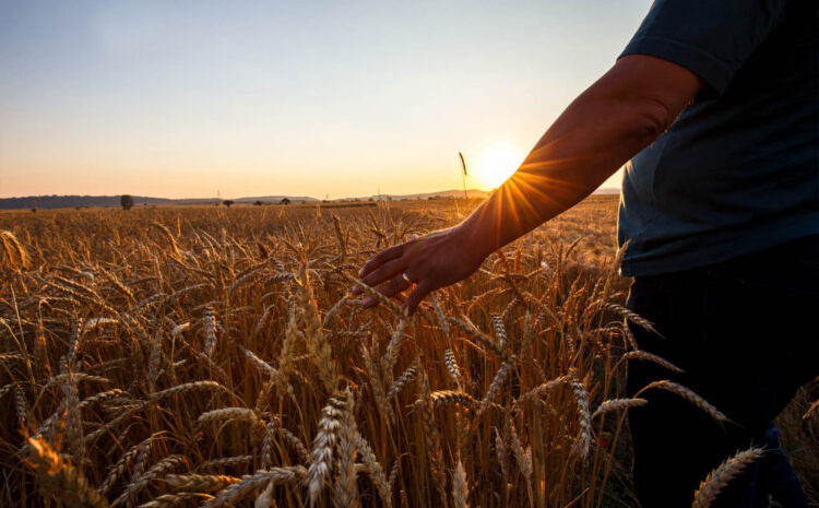  2020: How We Fought for Justice in Our Food System