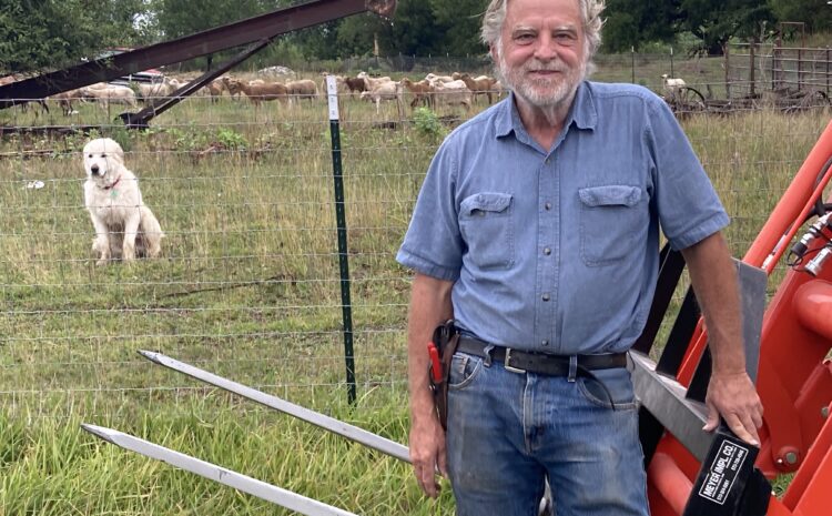  AgWeek | After 8 Years, Prop 12 Still Creates Sizzling Debate Over Hog Confinement